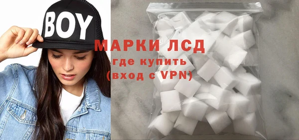 дурь Бородино