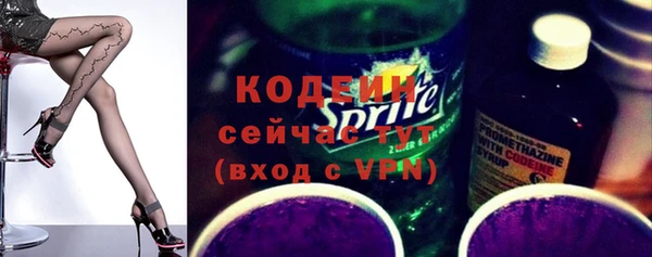 дурь Бородино