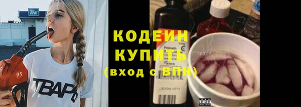 дурь Бородино