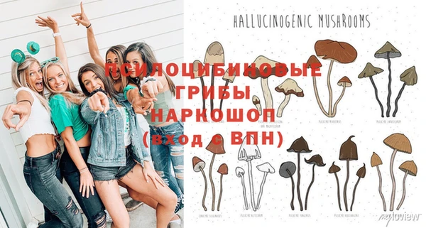 дурь Бородино