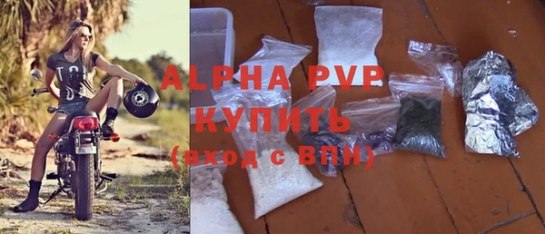 дурь Бородино