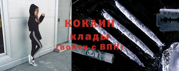 дурь Бородино