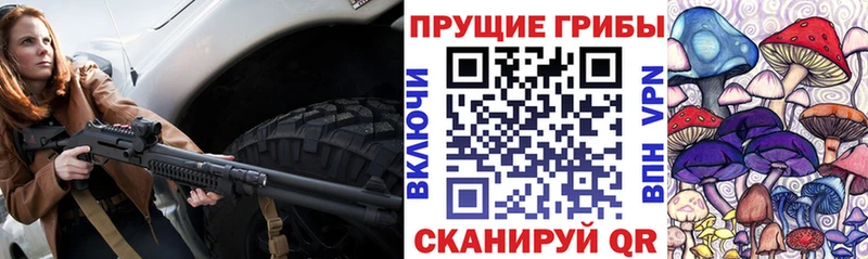 Галлюциногенные грибы Psilocybine cubensis  Каменск-Уральский 